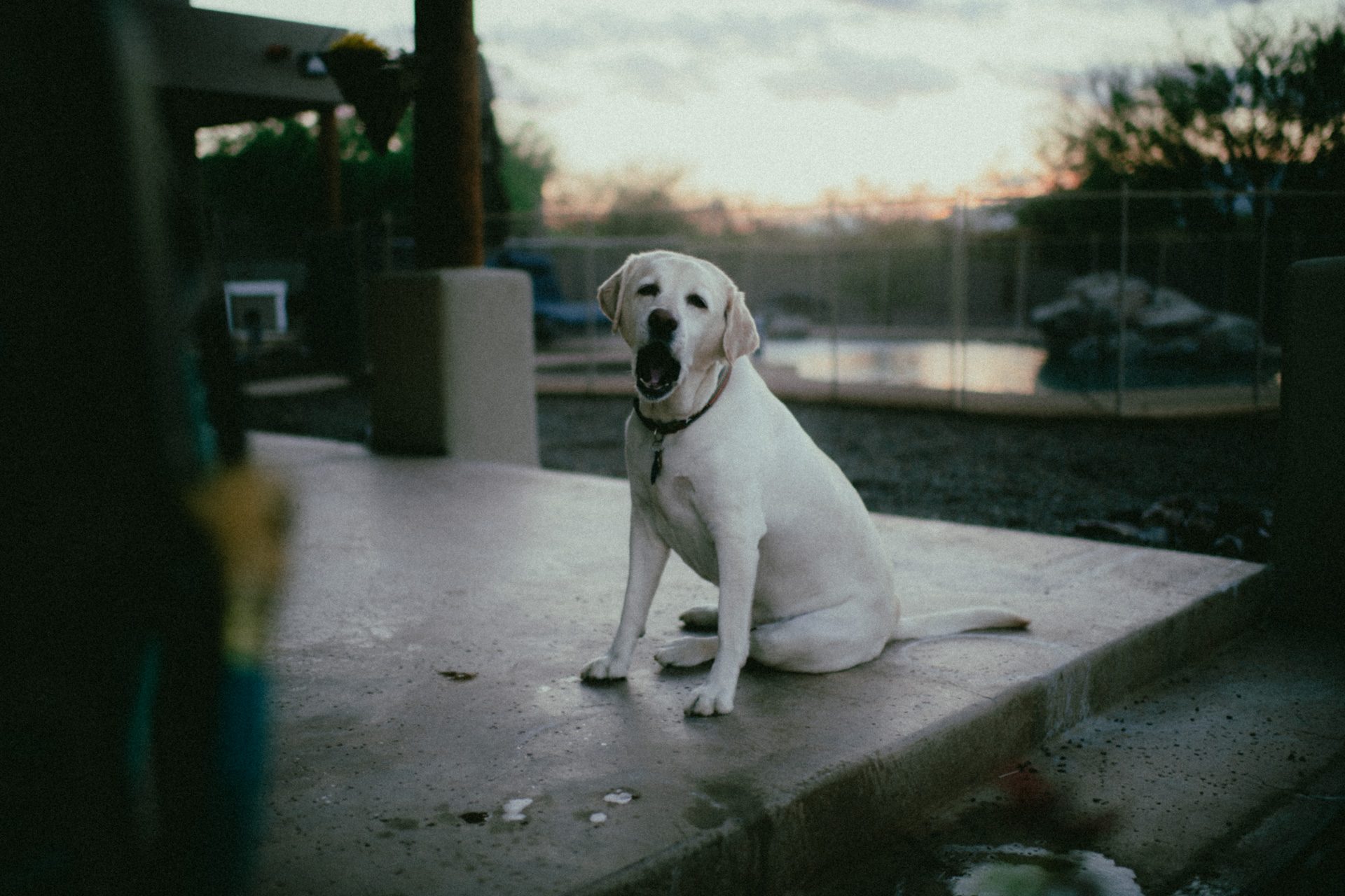 photo by ryan kennedy